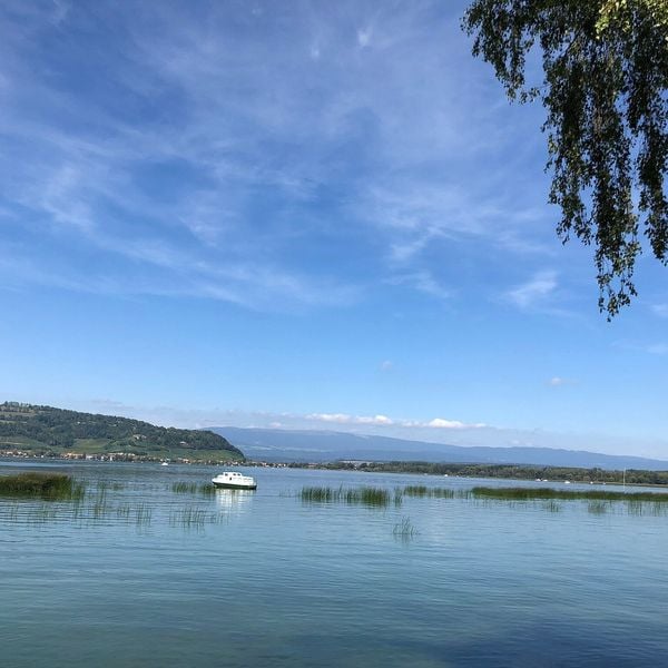 Luzernerin stirbt nach Schwumm im Murtensee