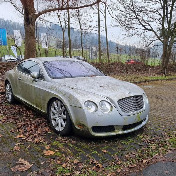 Moos statt Glanz: Verwahrloster Bentley gibt Rätsel auf