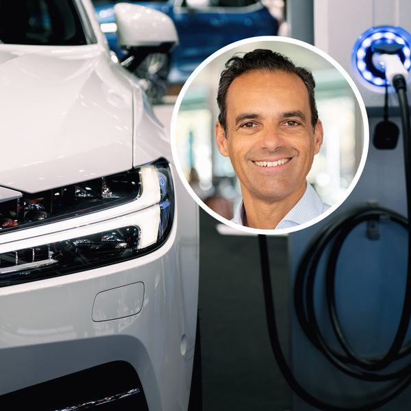 So verbreitet sind E-Autos auf dem Automarkt wirklich