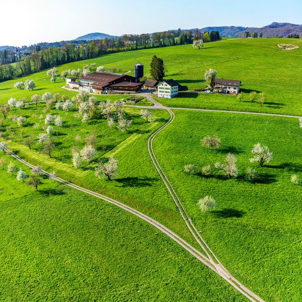 Kanton Zug will eine «klimafitte» Landwirtschaft