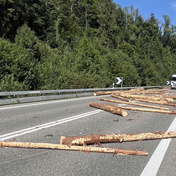 Lastwagen verliert Holzstämme – Strasse gesperrt