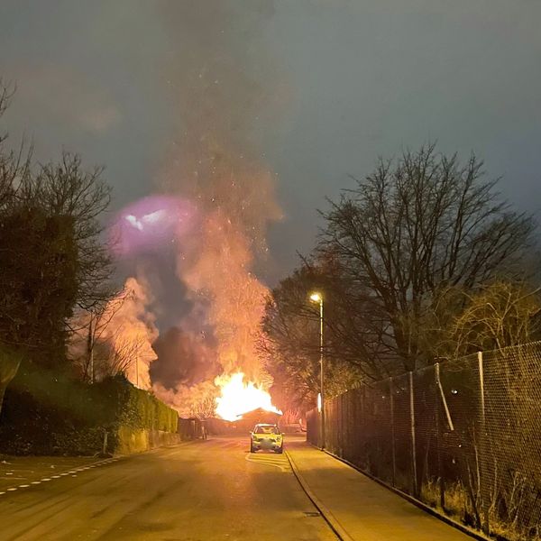 Brand in Luzern: Gartenhaus auf der Allmend abgebrannt