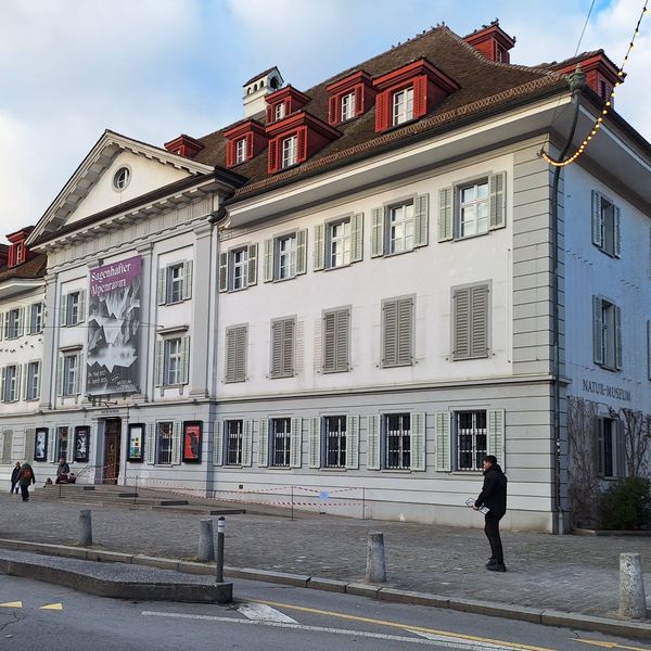Deshalb bleibt das Luzerner Museum, wo es ist