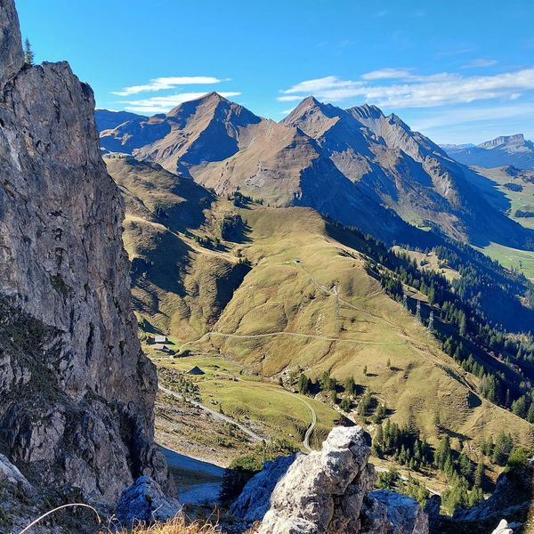 Beim Brienzer Rothorn: Blitzschlag tötet 21 Schafe