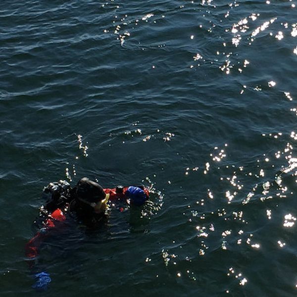 Einsatzkräfte suchen vermisste Person im Zugersee