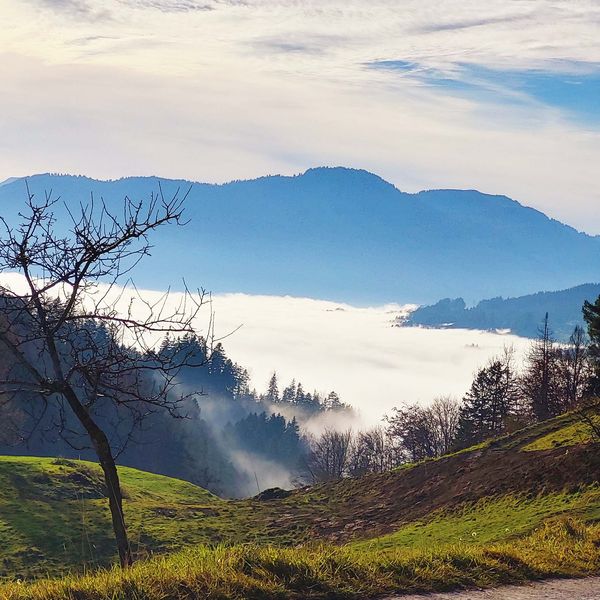 Flucht vor dem Nebel beschert Bergbahnen Rekordzahlen