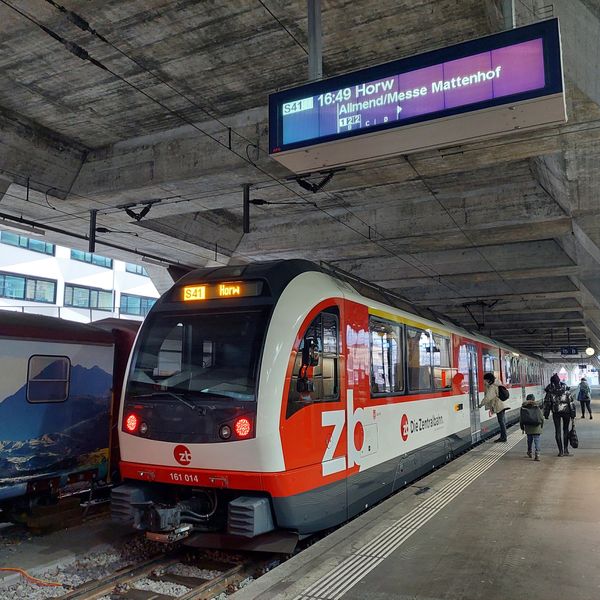 Zug verwüstet: Basler Fussball-Vandale identifiziert