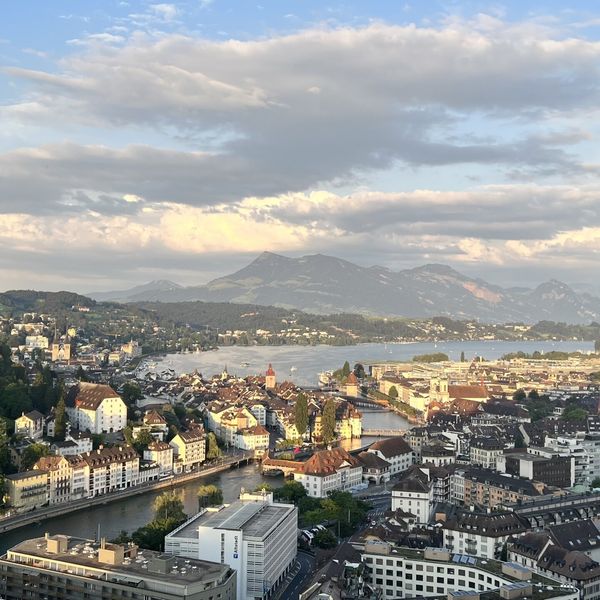 Die Luzerner Altstadt vor lauter Bäume nicht sehen?