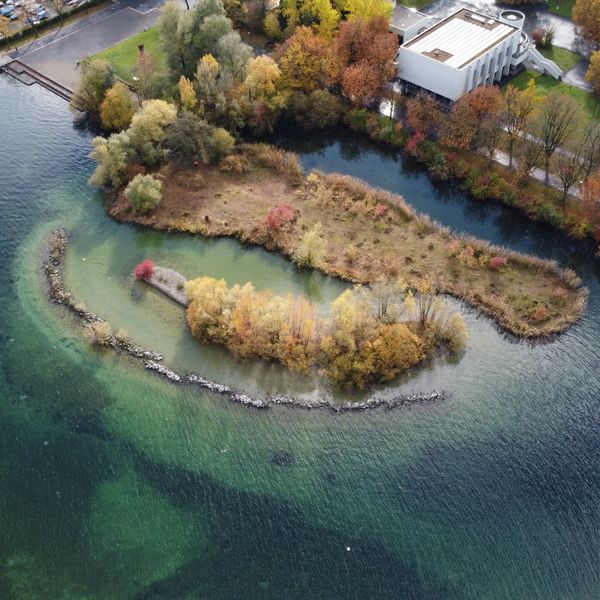 Stadt Luzern investiert in Kübel und Insel an Ufern