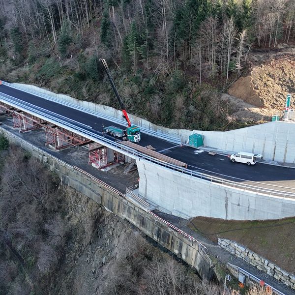 Darum ziehen beim Ränggloch Fledermäuse und Vögel ein