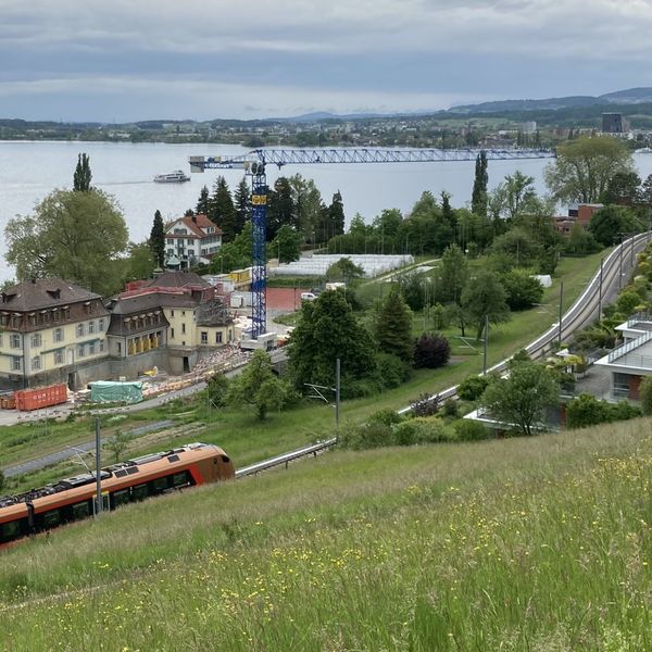 Salesianum-Areal in Zug: Eigentümer krebsen zurück