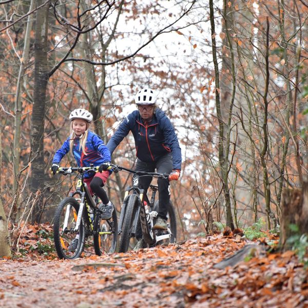 Einsprecher wehren sich gegen Bike-Trails im Bireggwald