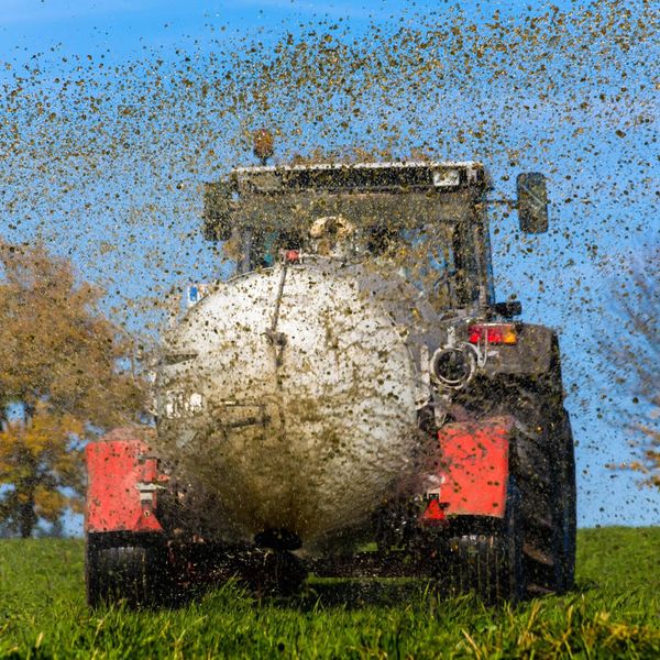 Güllelager abdecken – wer nicht spurt, bekommt Probleme
