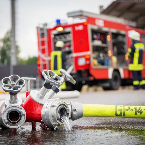 Viele Tiere sterben durch Scheunenbrand in Richenthal