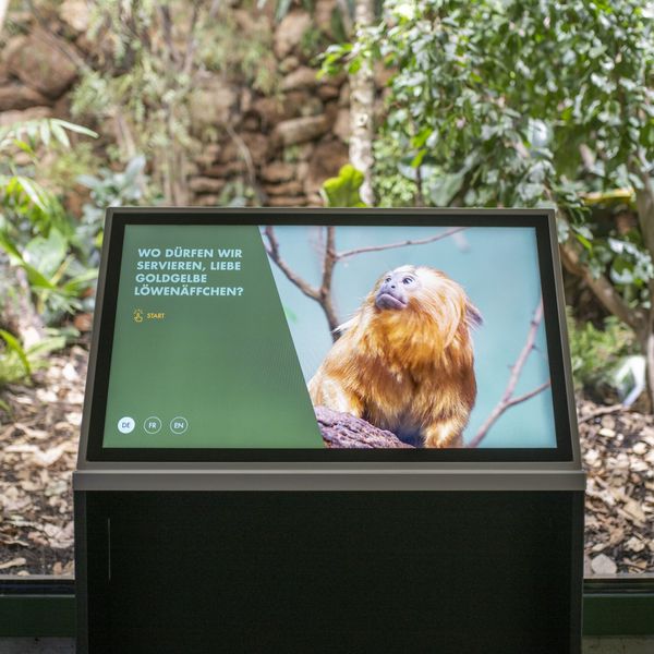 Gratis in den Zoo? Für Zuger und Luzerner passé