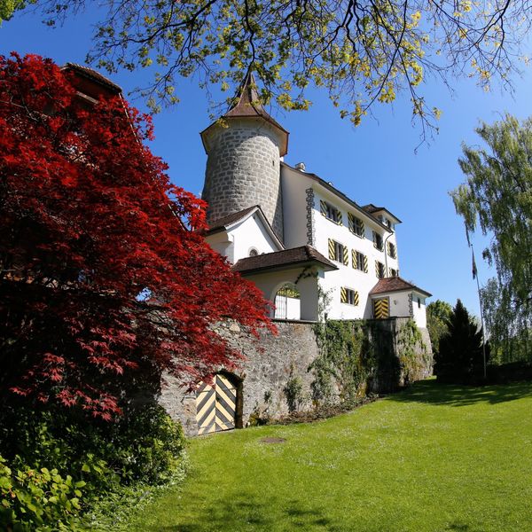 Dieses Schloss wirft seine alte Ölheizung raus