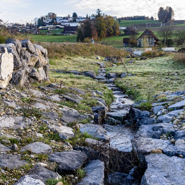 Tangente: Dank der Strasse fliessen die Bäche jetzt wieder oberirdisch