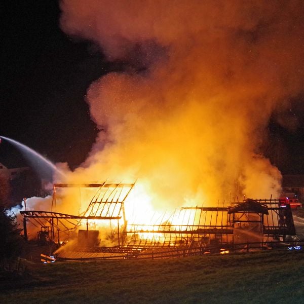 So viele Tiere verendeten beim Brand in Richenthal