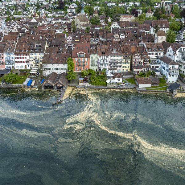 Zug muss Wohnungen bauen, um jung zu bleiben