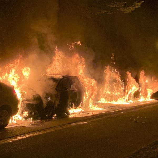 Brennende Autos an Luzerner Villenstrasse: Es war Brandstiftung