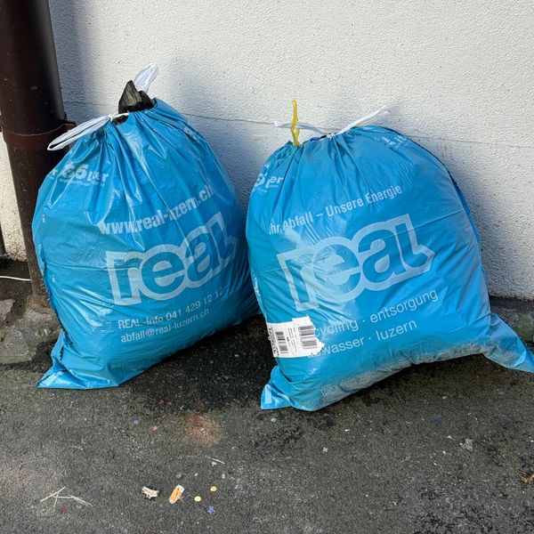 Luzerner wehren sich gegen neue Abfallcontainer