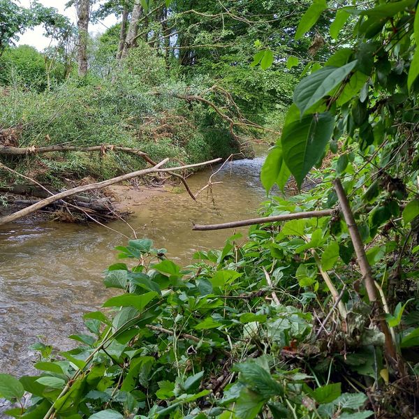 Regierungsrat verbessert Hochwasserschutz am Rotbach