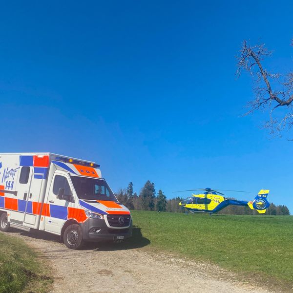 Reiterin stürzt vom Pferd und verletzt sich schwer