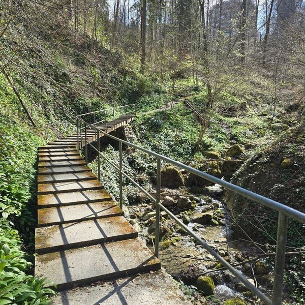 Ist die neue Bikeroute Fridbach wirklich so gefährlich?