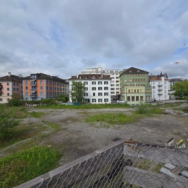 Luzerns berühmteste Brache verliert ihre Profile – wieso?