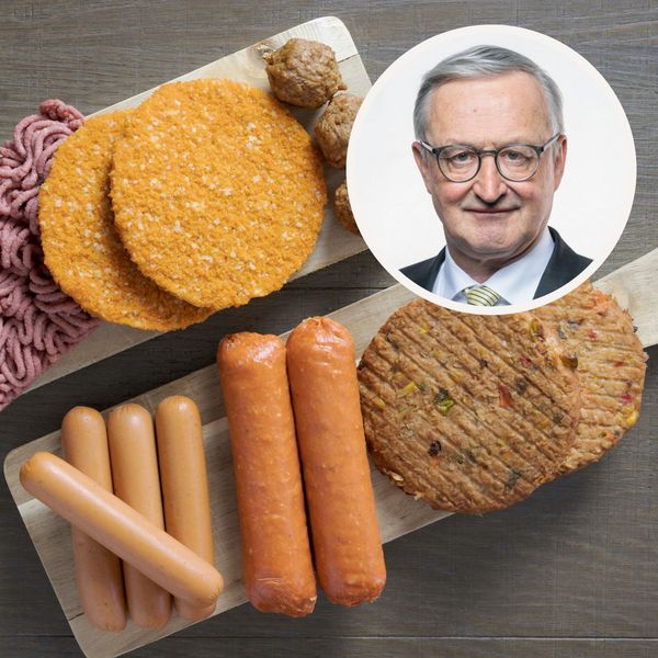 Verbietet Zug bald die Werbung für Fleischersatzprodukte?