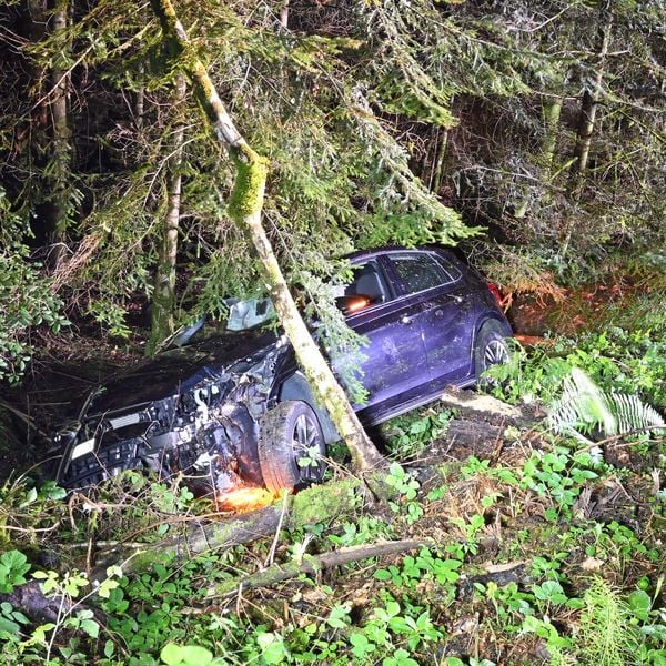 Auto kommt von Strasse ab und kollidiert mit Baum