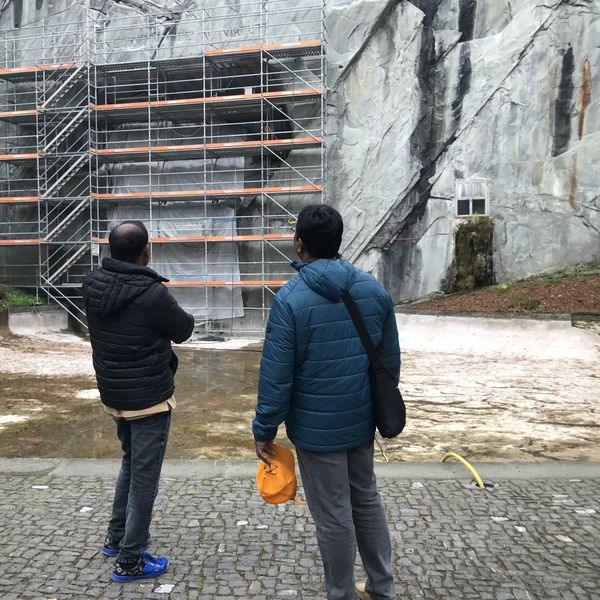 Asiatische Touristen sind zurück in Luzern