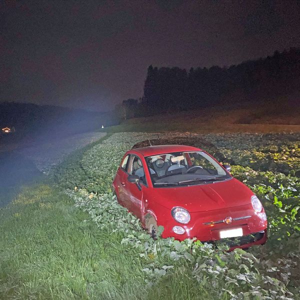 Wikon: 60-jährige betrunkene Frau verunfallt mit ihrem Auto
