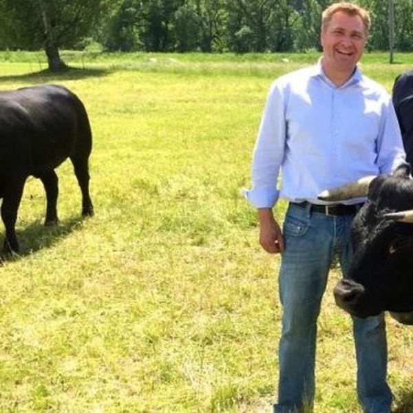 Franz Grüter ist jetzt Kampfkuh-Papi