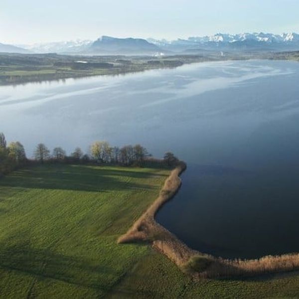 Baldeggersee: Neuigkeiten zum Rundweg erfreuen Seetaler