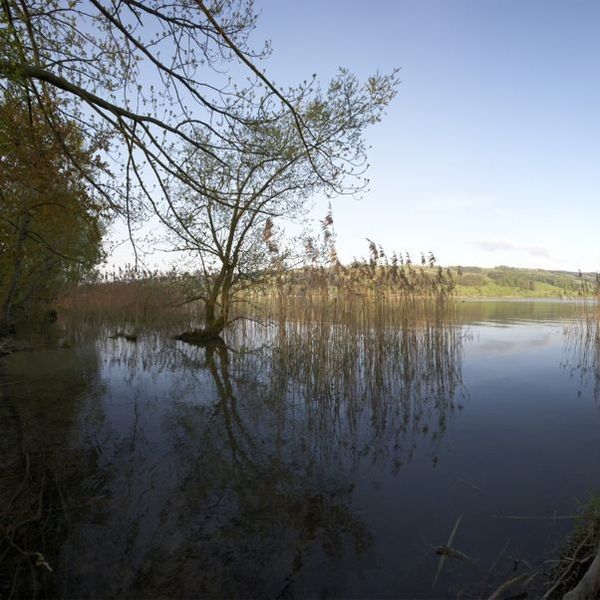 Entwurf schlägt Enteignung des Baldeggersees vor