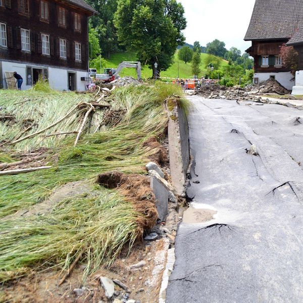 Tiefe Bestürzung in Dierikon