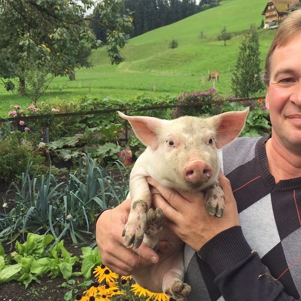 Deshalb verdient der Luzerner Schweinebauer Walter die beste Liebe