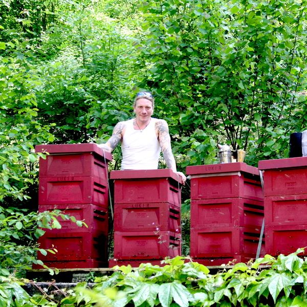 Summ, summ, summ: Der coole Bienenvater von Luzern