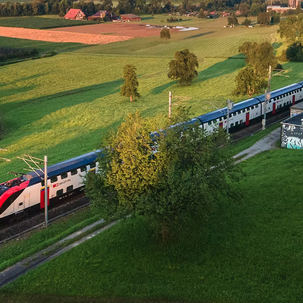 Zimmerberg-Basistunnel II: Unverzichtbar, sagt Zug