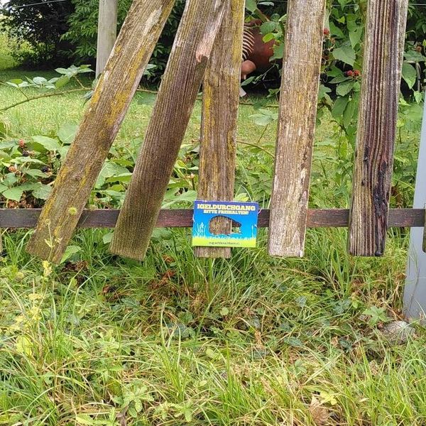 Zuger sollen kleinen Wildtieren helfen
