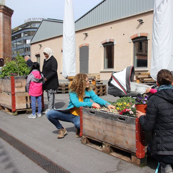 Urban-Gardening-Projekt bringt Leben und Farbe ins Kulturquadrat Kriens
