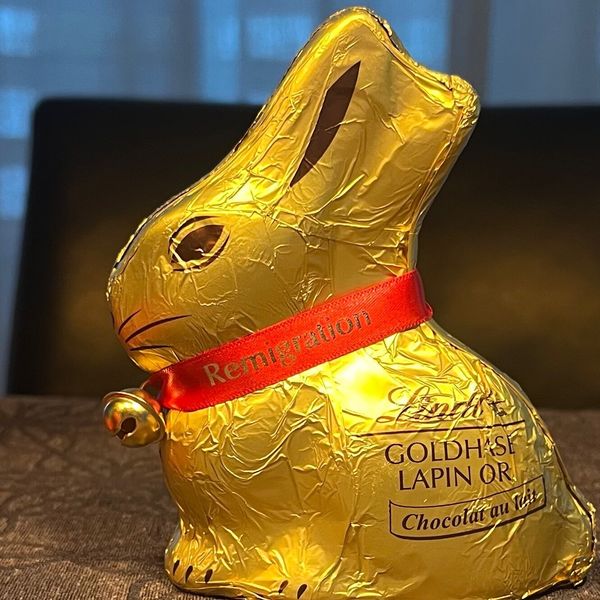 «Remigrationshase» bringt Lindt in Erklärungsnot