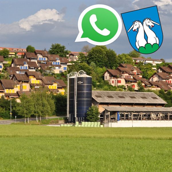 Motzen per Whatsapp: Hünenberg in der Pionierrolle