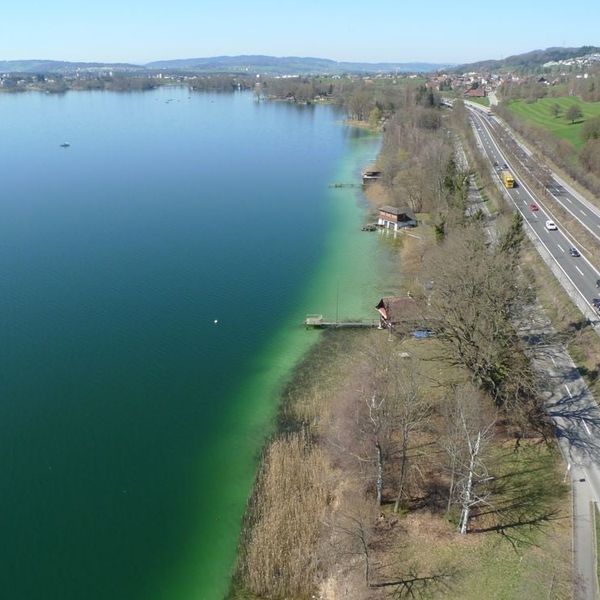 Sempachersee: Neue Wege – und eine klitzekleine Spur Mut