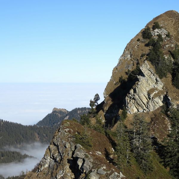 Von der Lütholdsmatt über die Stäfeliflue am Pilatus