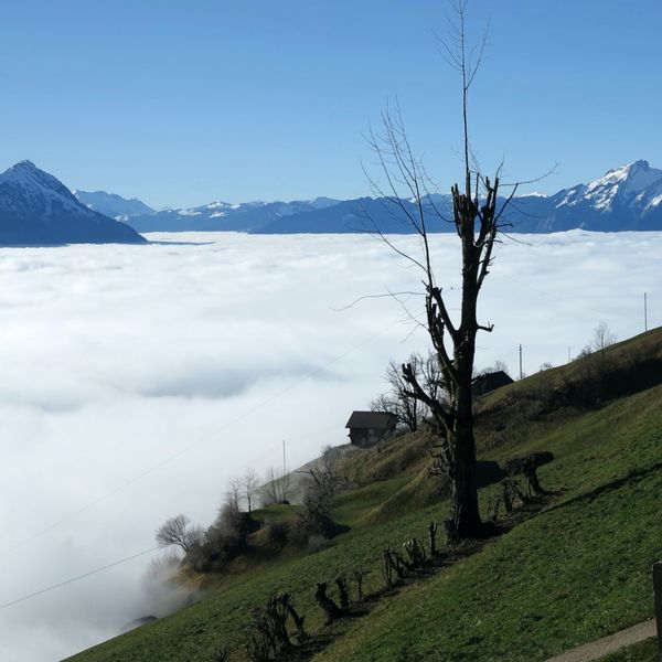 Grenzüberschreitungen am Rigi-Südhang
