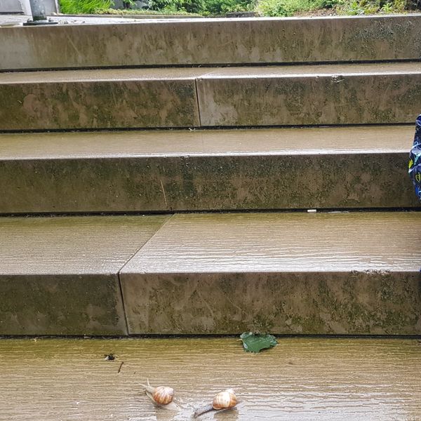 Oh du schöner Herbst, ich habe dir Unrecht getan