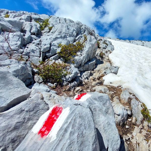 Erlebnisreiche Rundwanderung auf den Schibengütsch