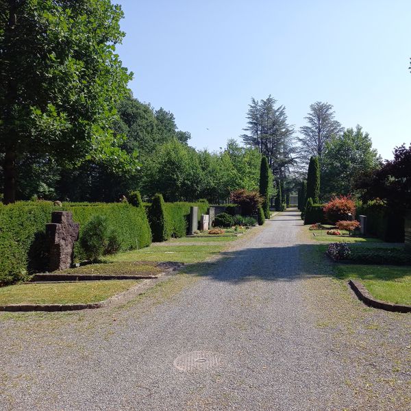 Die Grüne Oase in Luzern: das Friedhofareal Friedental